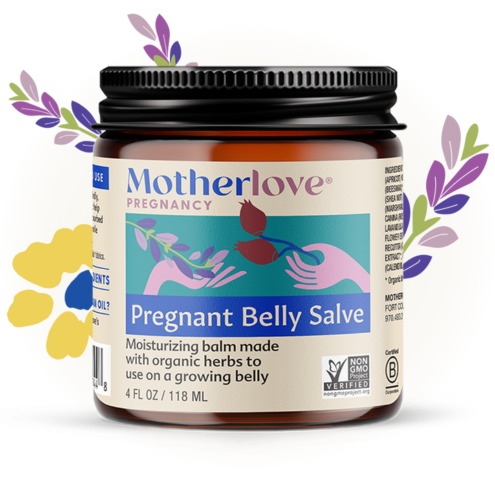 Motherlove Pregnant Belly Salve displayed with herbs, a rich formula made for gentle pregnancy safe skincare.