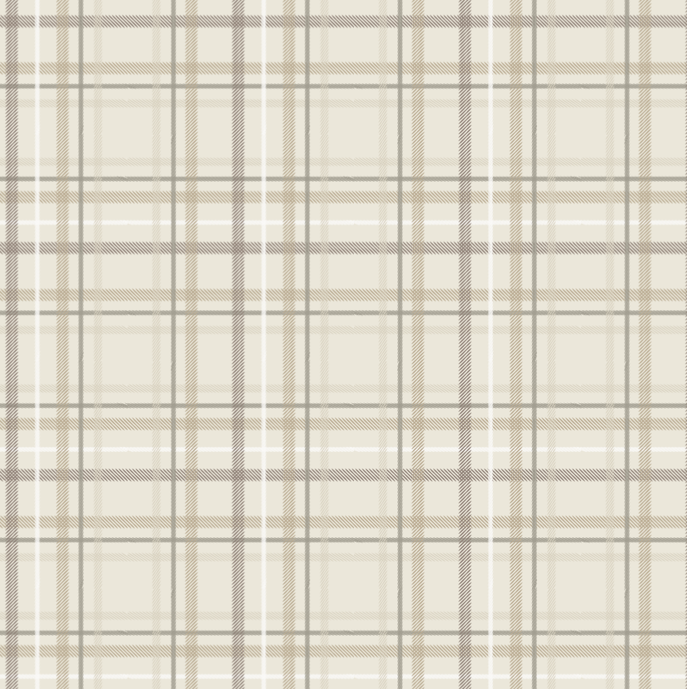 Saranoni Minky Stretch Receiving Blanket in Plaid is luxuriously plush, making it a top-rated receiving blanket.