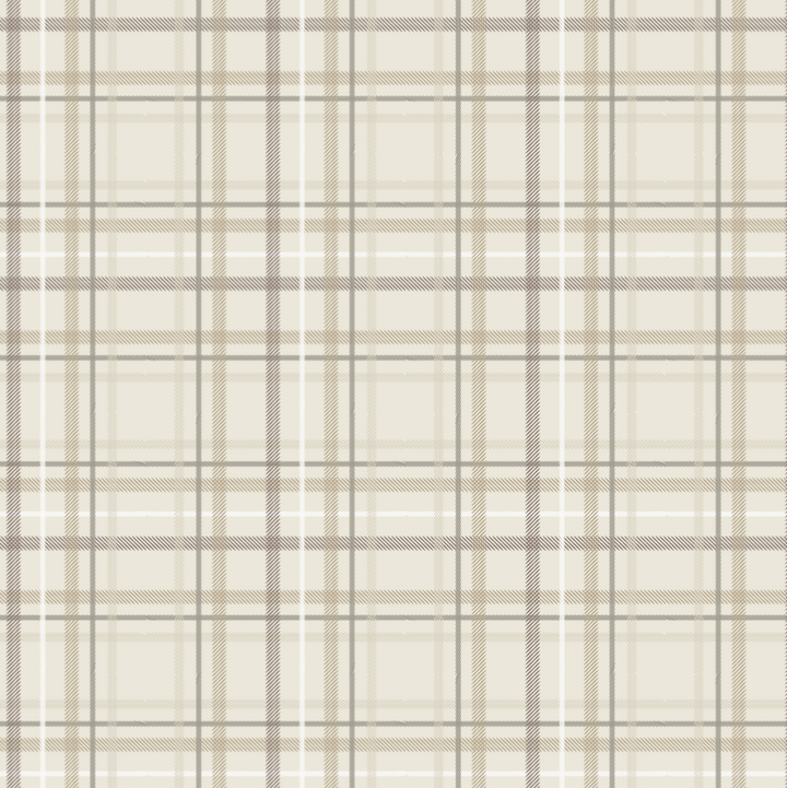Saranoni Minky Stretch Receiving Blanket in Plaid is luxuriously plush, making it a top-rated receiving blanket.