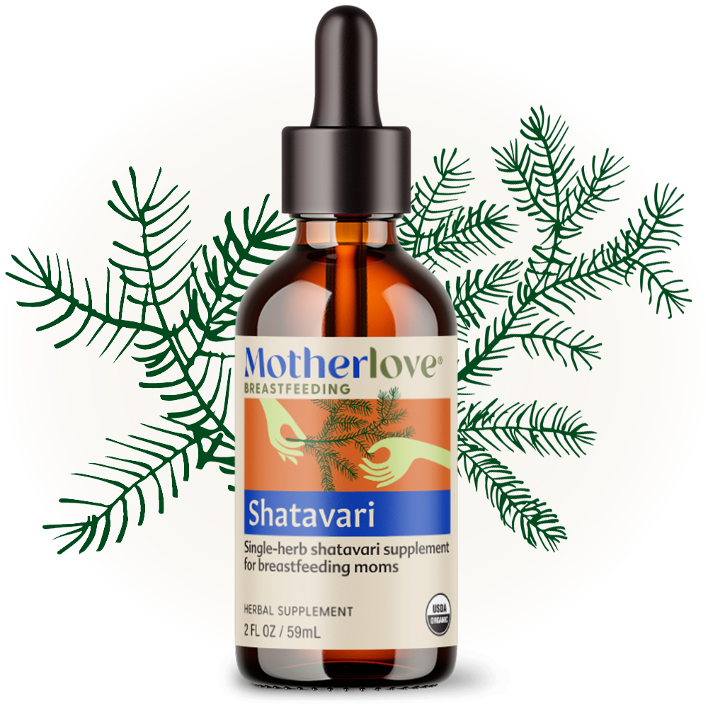 Glow image of Motherlove Shatavari Tincture 2oz, supplements to increase milk supply with herbal support