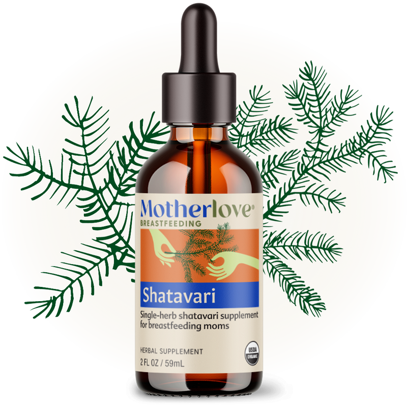 Glow image of Motherlove Shatavari Tincture 2oz, supplements to increase milk supply with herbal support