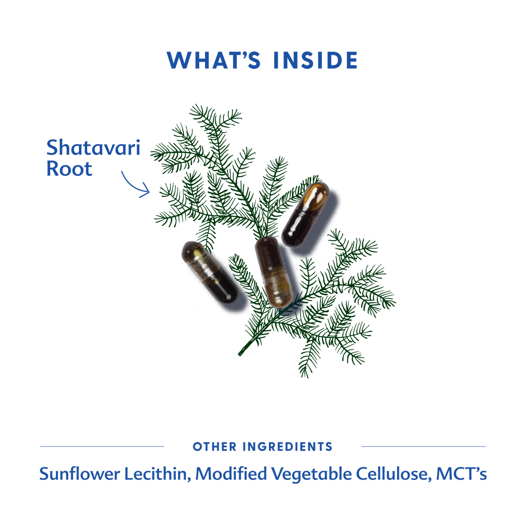 Motherlove Shatavari - Liquid Capsules potent formula works as supplements to increase breast milk supply
