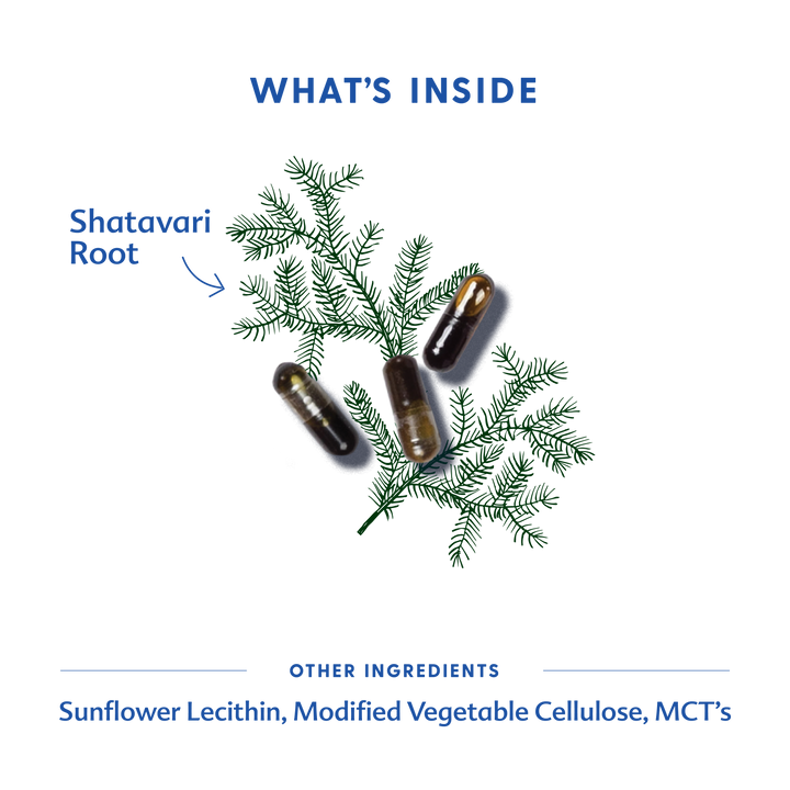 Motherlove Shatavari - Liquid Capsules potent formula works as supplements to increase breast milk supply