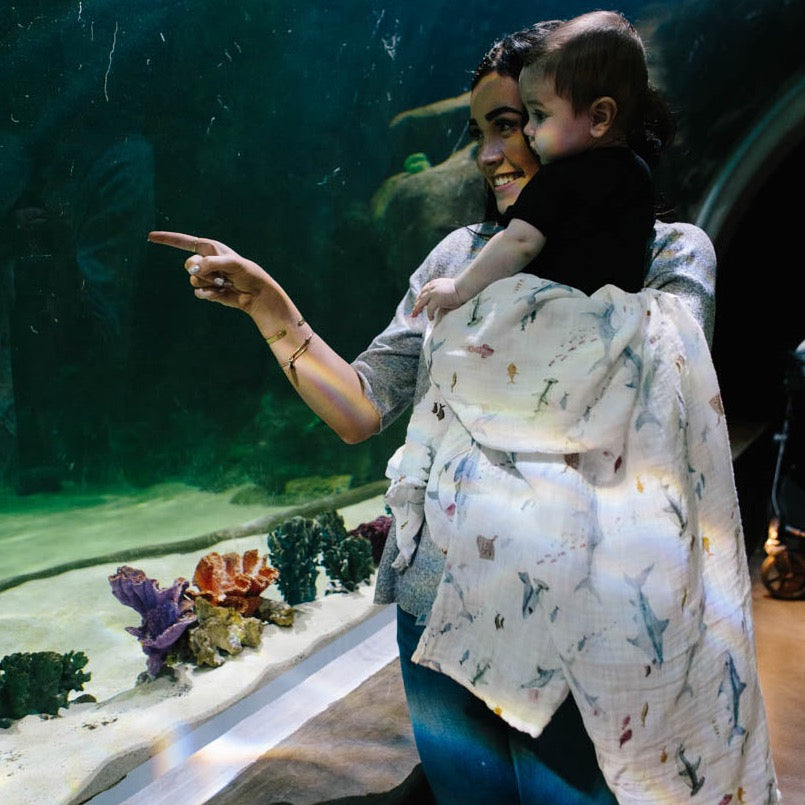 Little Unicorn Cotton Muslin Swaddle Blanket 3 Pack - Shark 2, breathable muslin swaddle blankets