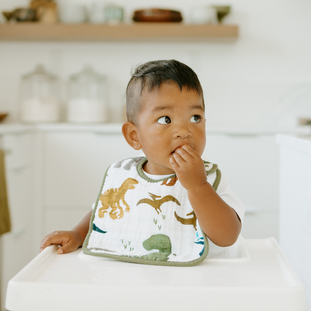 Little Unicorn Cotton Muslin Dino Friends 2, functional bibs for baby girl or boy