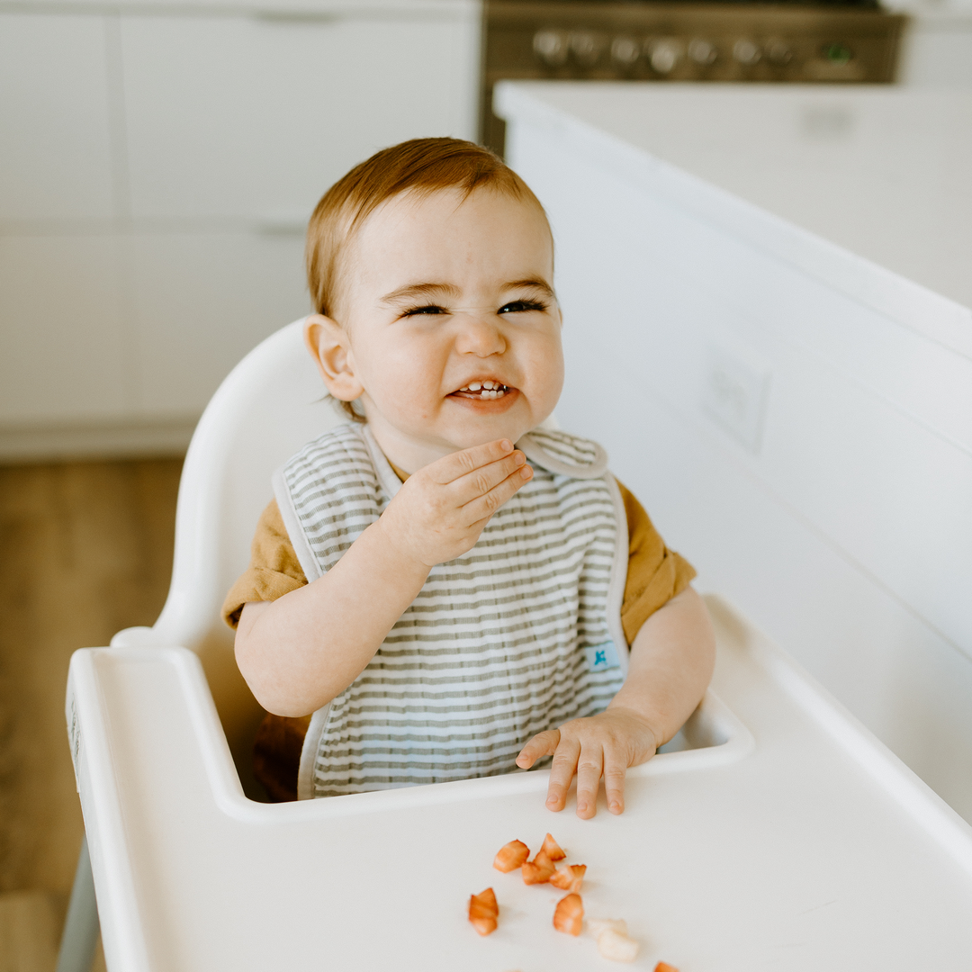 Little Unicorn Cotton Muslin Classic Bib 3 Pack - Watercolor Roses, baby boy bibs for feeding time