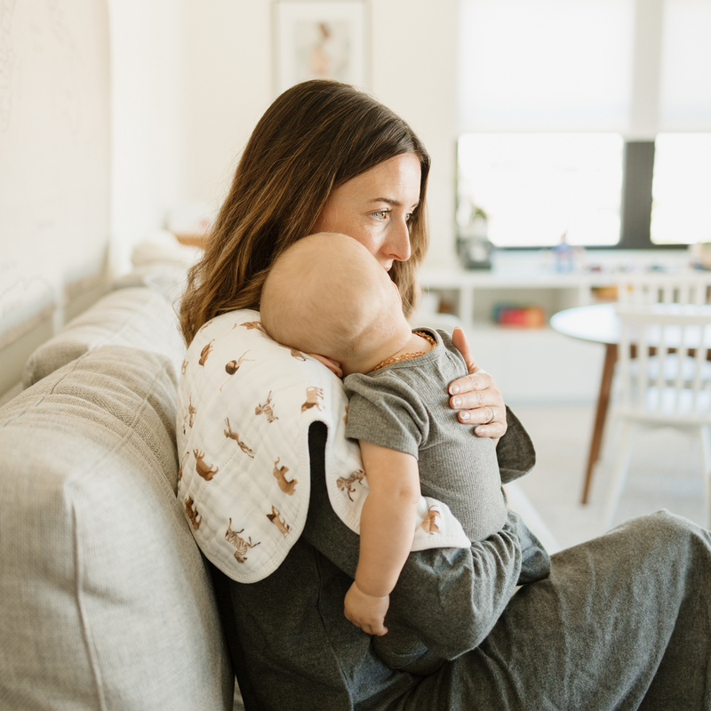 Little Unicorn Organic Cotton Muslin Burp Cloth 2 Pack - Animal Crackers + Stillwater Stitch, best burp cloths for feeding and burping.