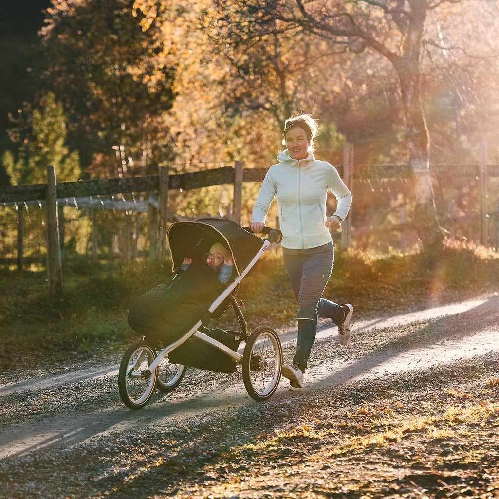 UPPAbaby Ridge Stroller with Piggyback with easy attachment to the stroller