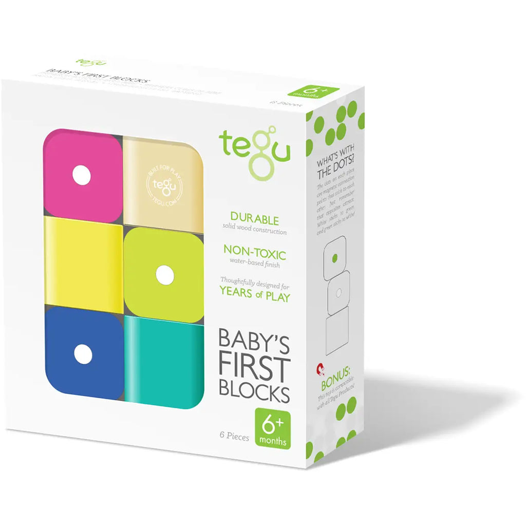 TEGU wooden magnetic blocks building and stacking toy for babies