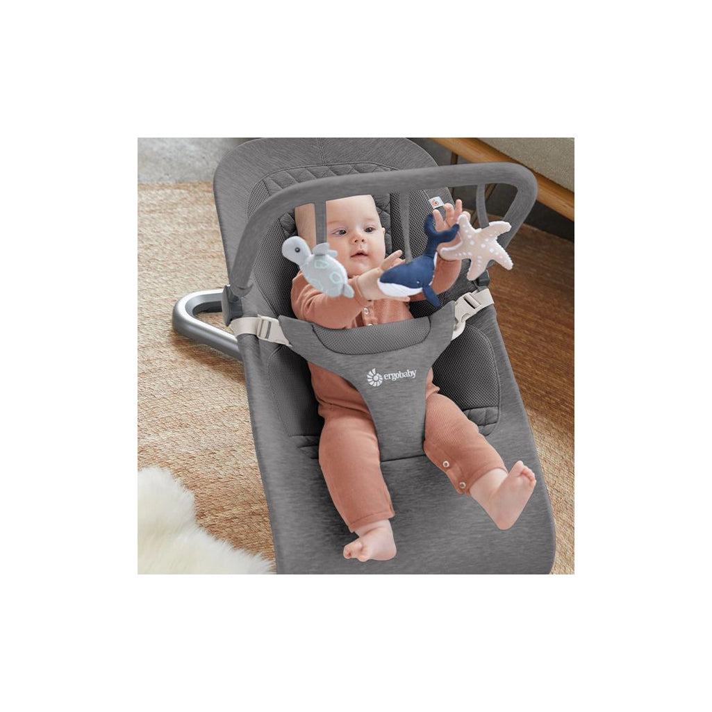 best baby bouncer with toy bar, Ergo baby bouncer