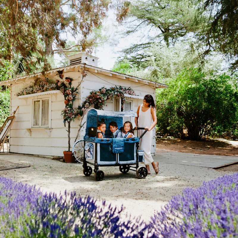 Unique artwork Wonderfold Elite/Luxe Canopy Fabric Van Gogh Landscape with Houses elevates twins stroller outings