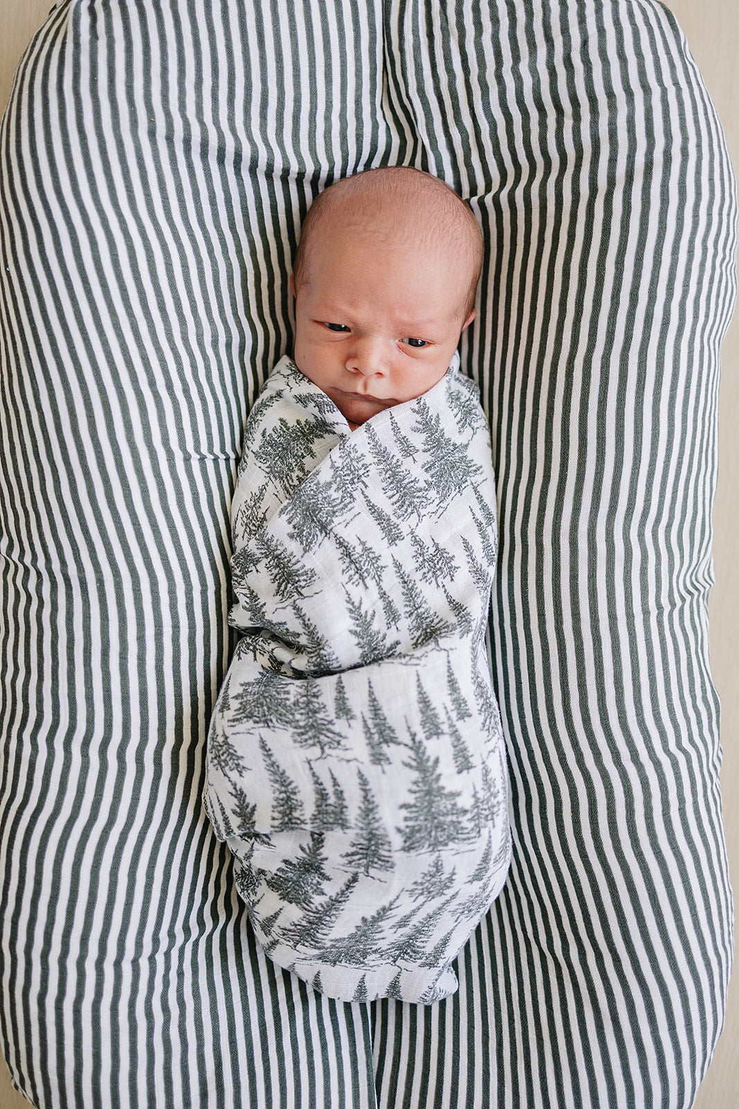 Wrap your newborn in the Mebie Baby Forest Muslin Swaddle Blanket, a breathable muslin swaddle.
