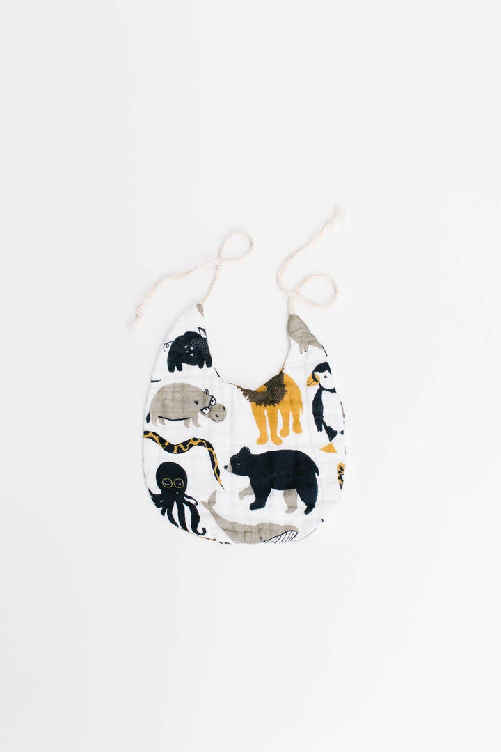 clementine kids fun science bib set 
