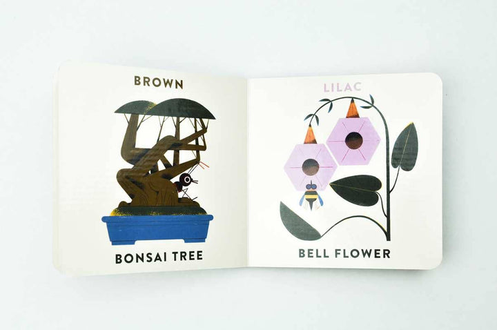 Botanical art page from Colors in the Garden by Marcos Farina toddler board book