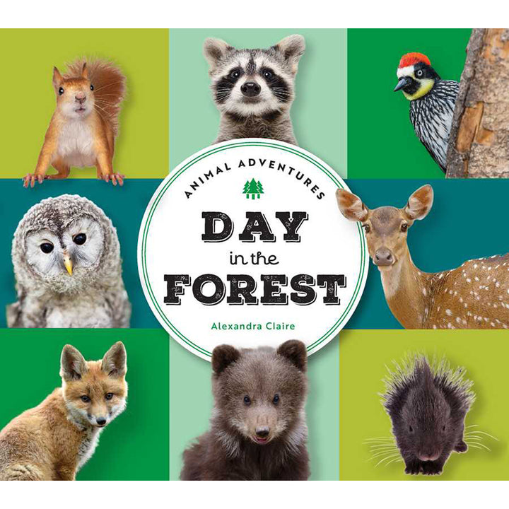 Animal Adventures: Day in the Forest by Alexandra Claire