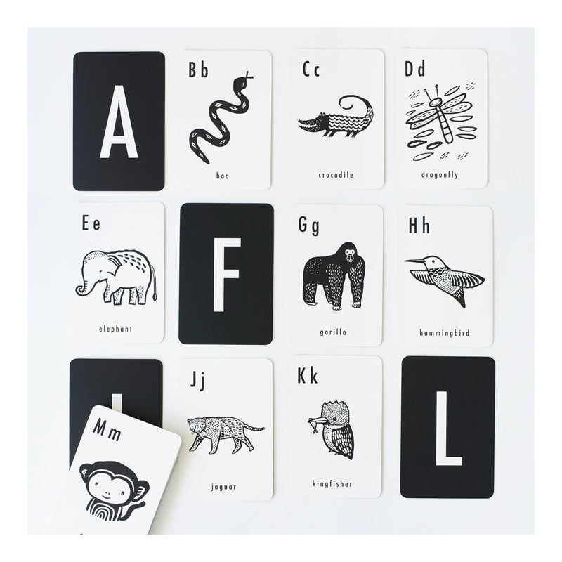 Animal Cards Wee Gallery