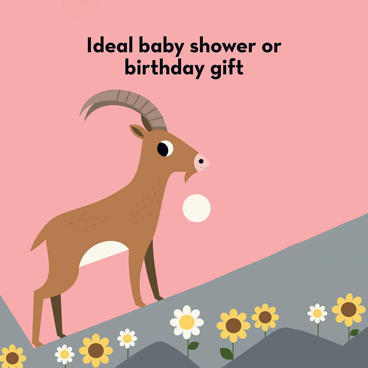 illustration of mountain goat in great outdoors adventure baby board books 