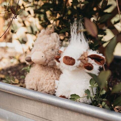 bunnies by the bay we moo cow extra soft baby plush toy 