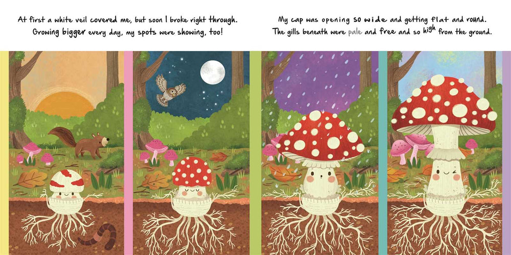 Mushroom life cycle spread from Nature Stories Little Mushroom children's science book