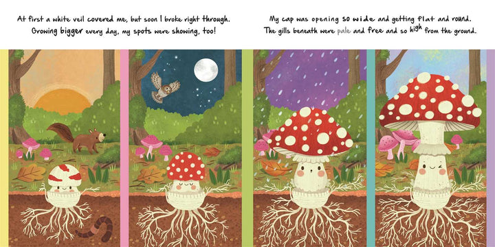 Mushroom life cycle spread from Nature Stories Little Mushroom children's science book