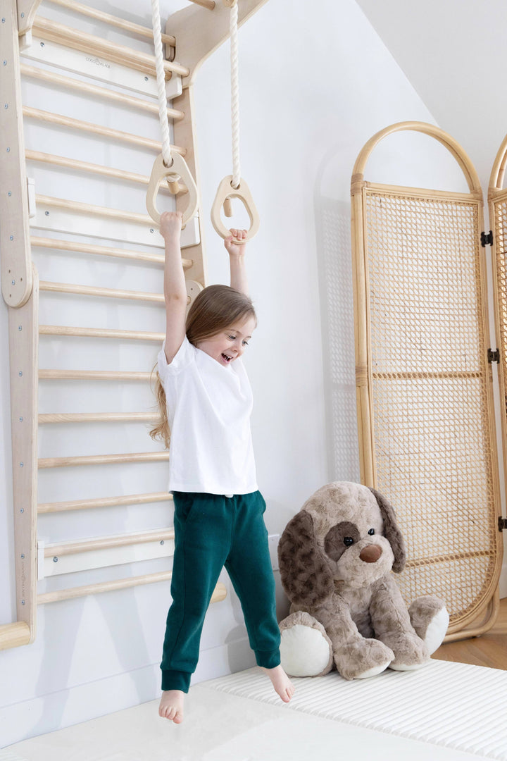 Designed in a clean Natural finish, the Coco Village Montessori 2-in-1 Triangle & Wall Climber is a beautiful wooden toy for imaginative climbing.