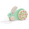 BAJO Wooden Toys Rabbit Pull Toy in Mint