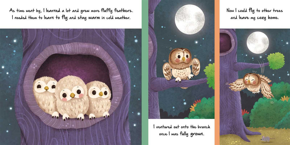 Simon & Schuster Nature Stories: Little Owl board book spread showing owlets and a moonlit flight