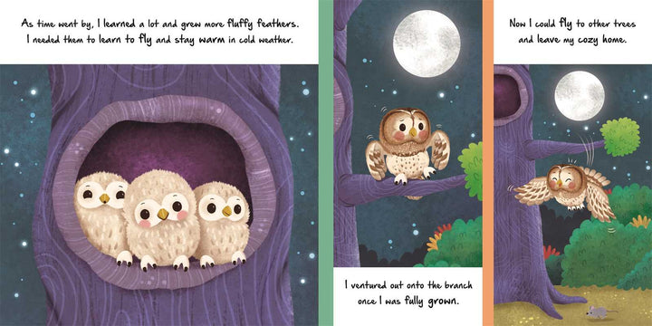 Simon & Schuster Nature Stories: Little Owl board book spread showing owlets and a moonlit flight