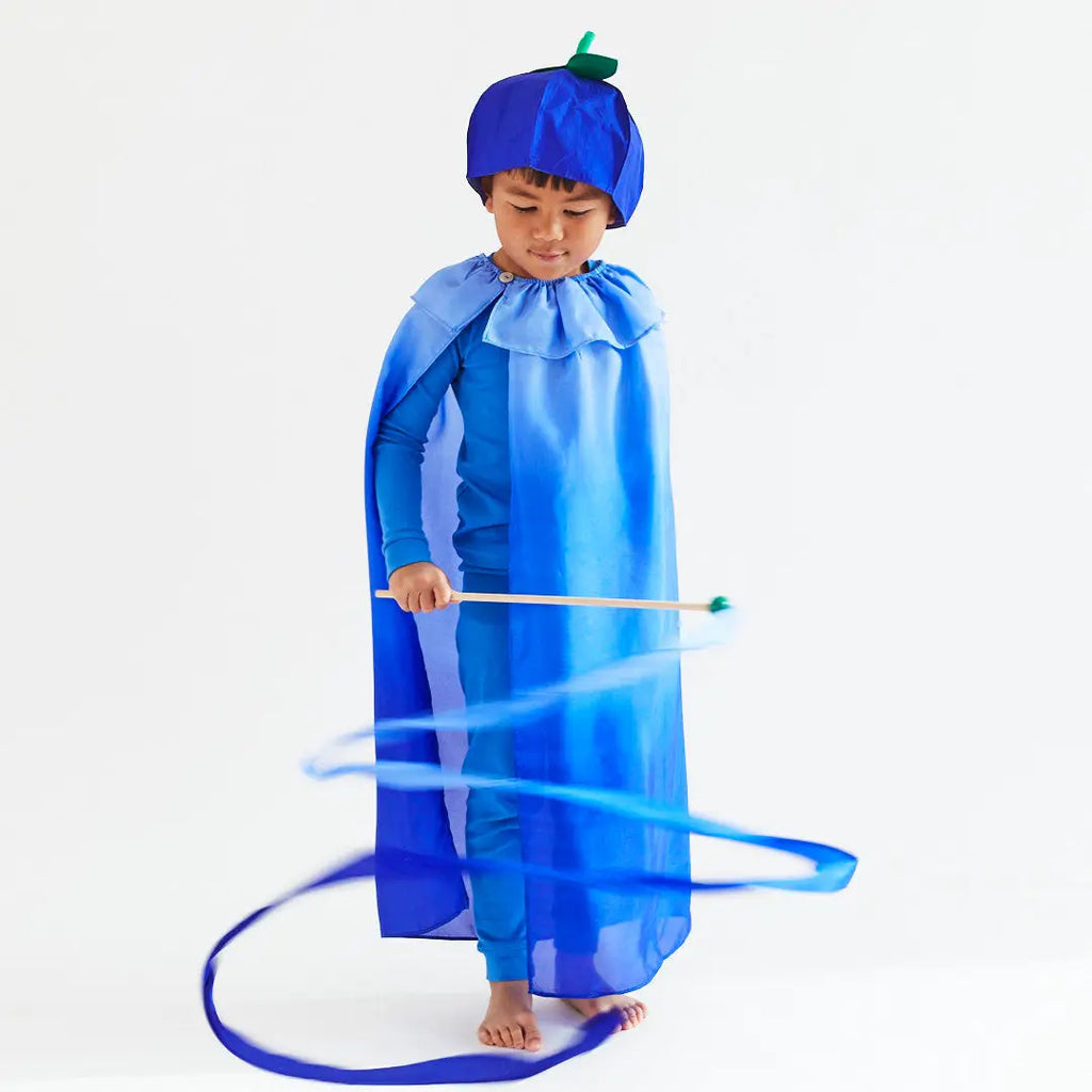 sarah's silks blueberry streamer imaginative play