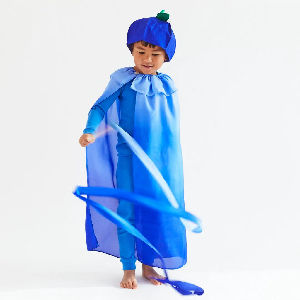 sarah's silks blueberry streamer dress up fun