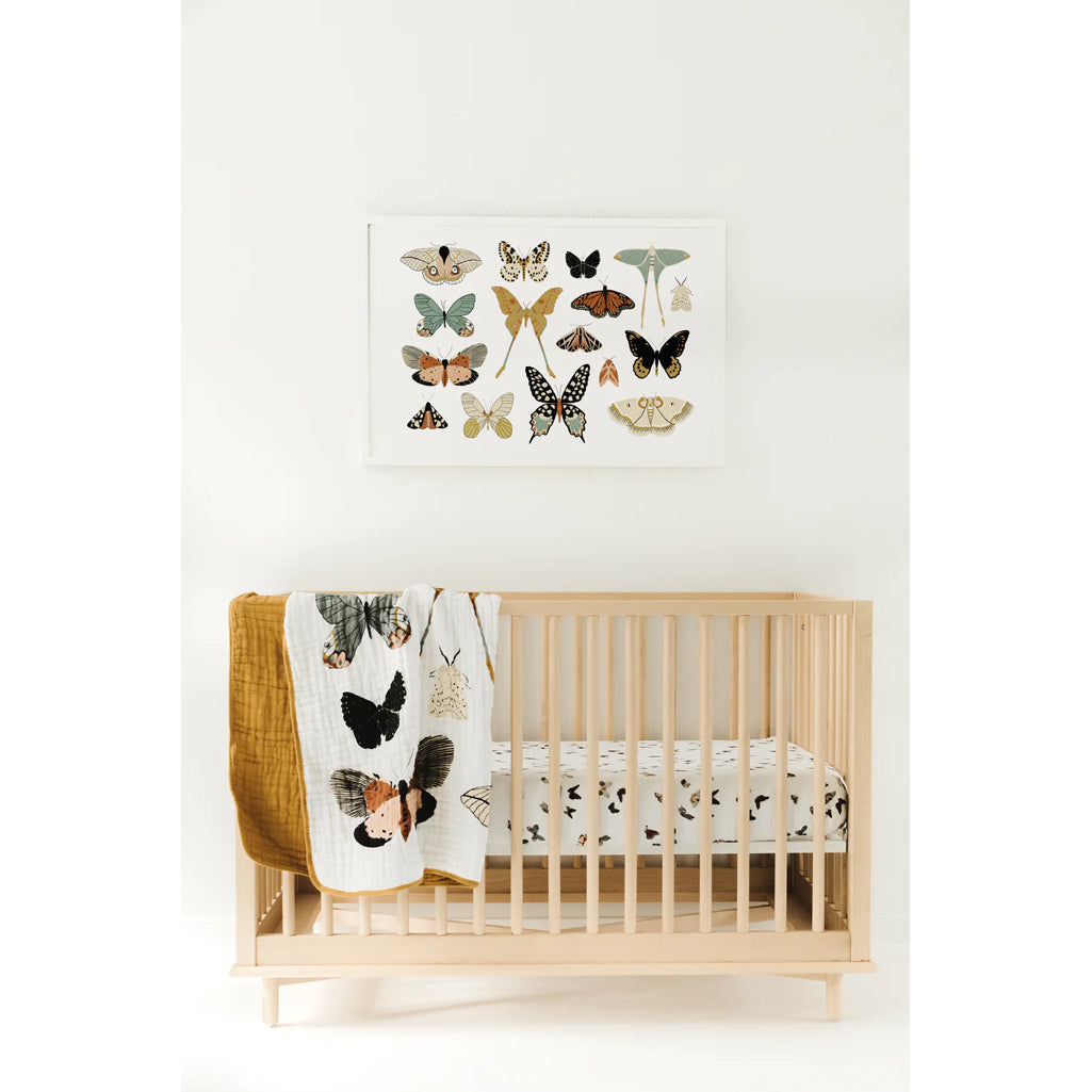 Clementine Kids butterfly collector muslin cloth quilt