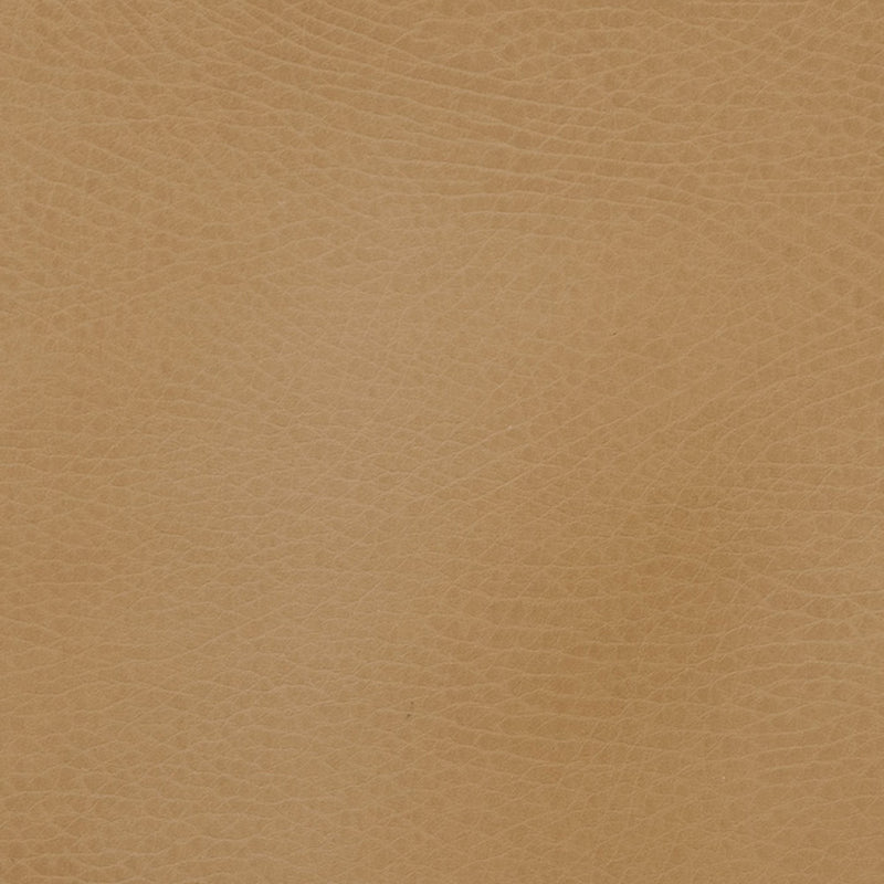 Gathre camel floor cushions