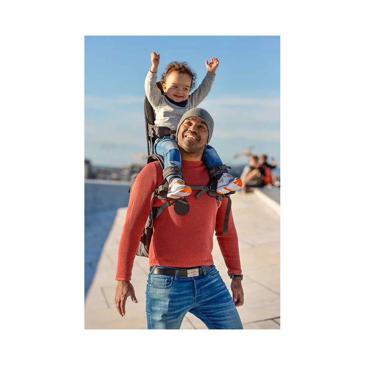 Grey shoulder carrier