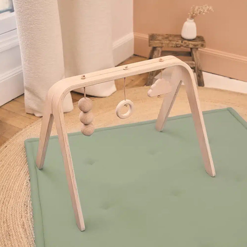 tami lichen charlie crane baby playmat and play gym