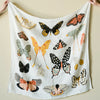 butterfly collector cute swaddle blanket clementine kids