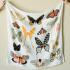 Clementine Kids butterfly collector infant muslin blankets