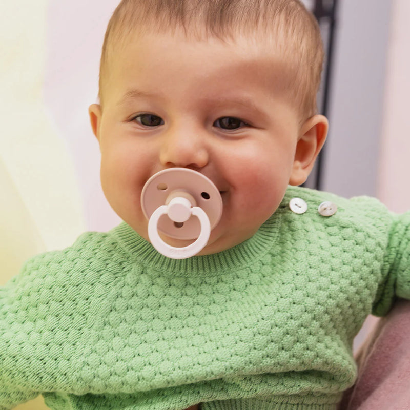 Blush & Woodchuck fusion BIBS Pacifier Colour Collection 2 Pack, everyday baby pacifier.