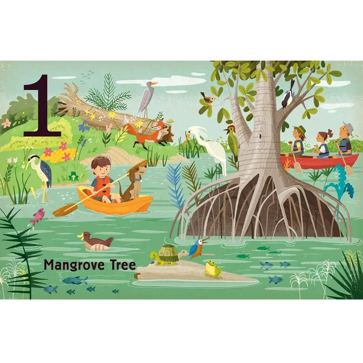 educational board book for toddlers counting book