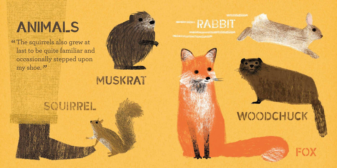 Gibbs Smith Walden: A BabyLit® Nature Primer nature board book