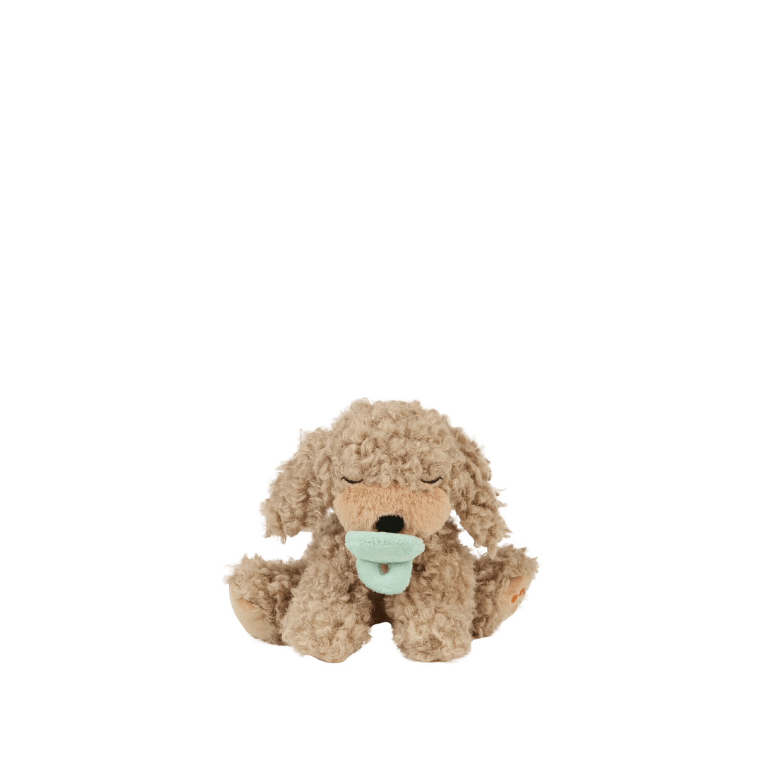 Dinkum Dolls Binky Puppy Benny gold curly plush dog with magnetic pacifier