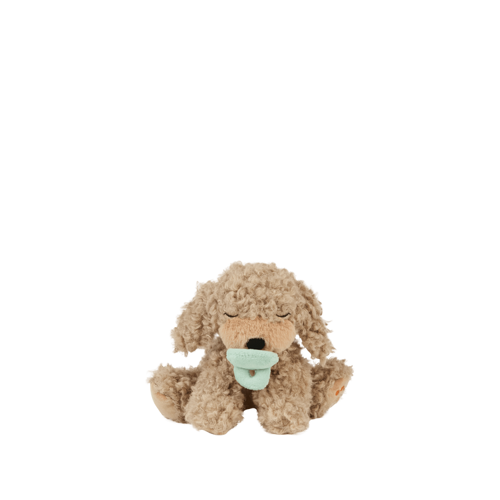 Dinkum Dolls Binky Puppy Benny gold curly plush dog with magnetic pacifier