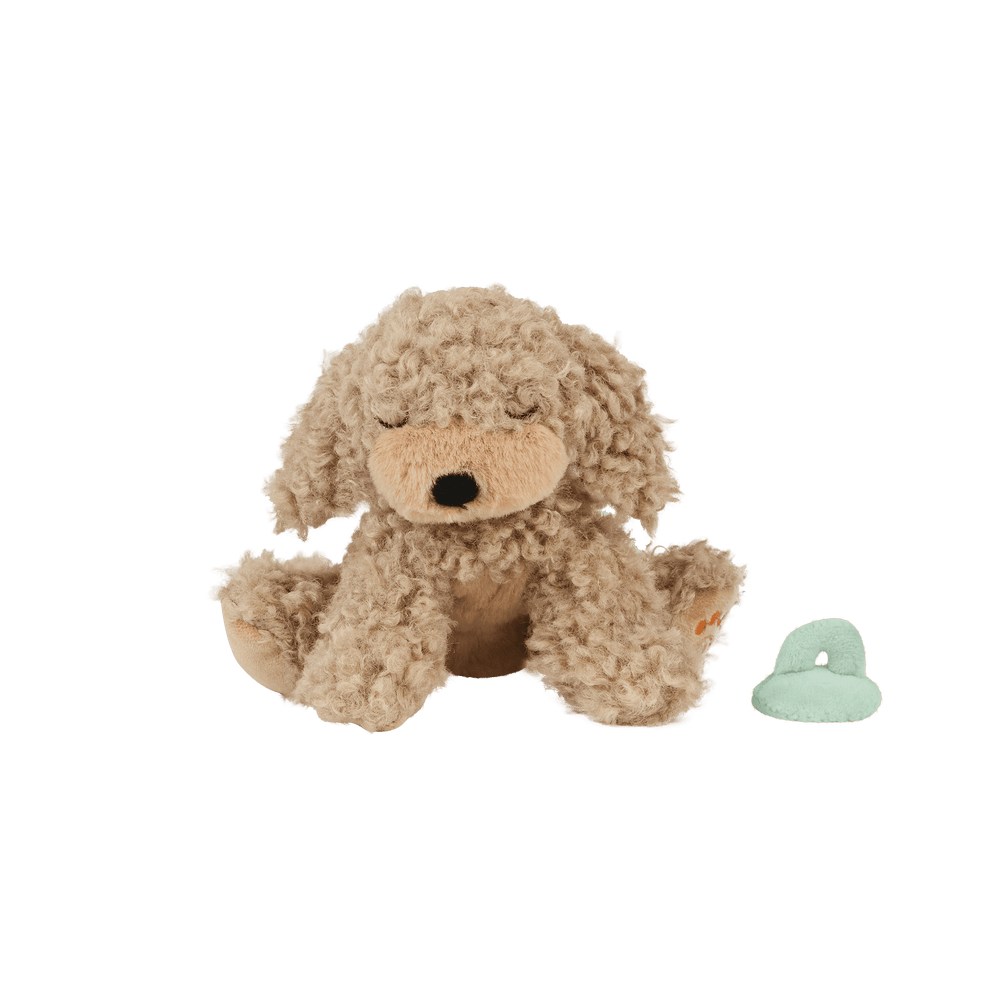 Binky Puppy Benny gold plush puppy seated beside mint magnetic pacifier, Dinkum Dolls