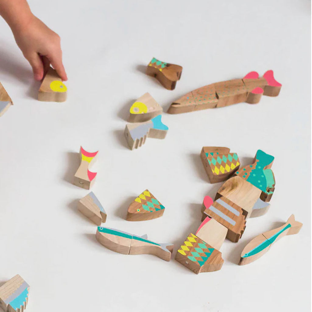 Magnetic Fish Puzzle