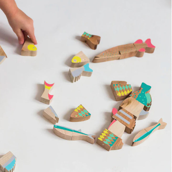 Magnetic Fish Puzzle