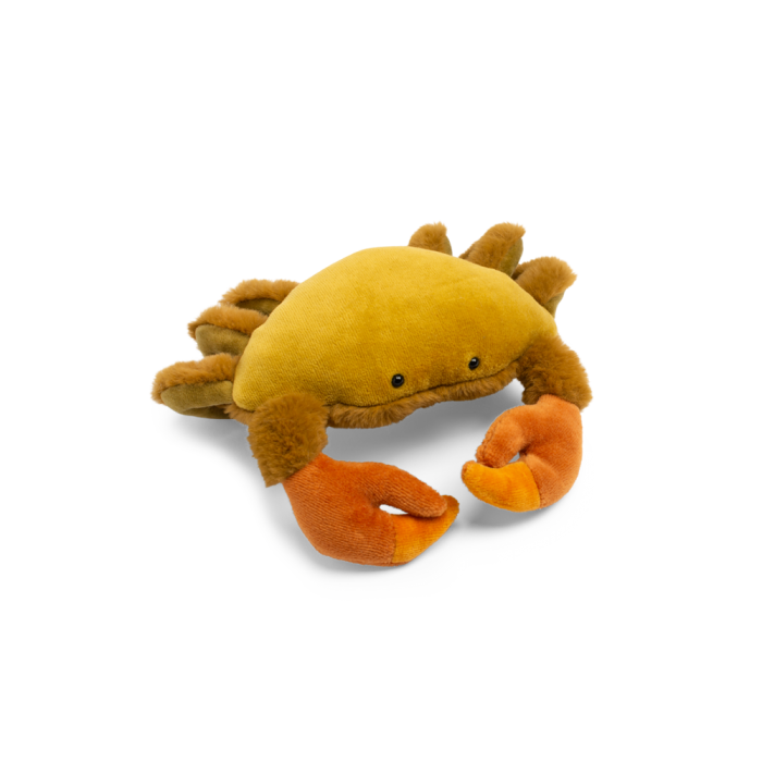 Crab All Around the World