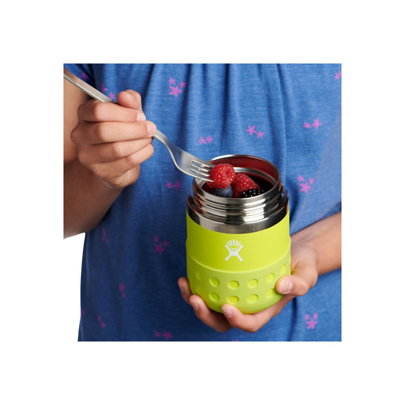 hydroflask lunch box metal water bottles green