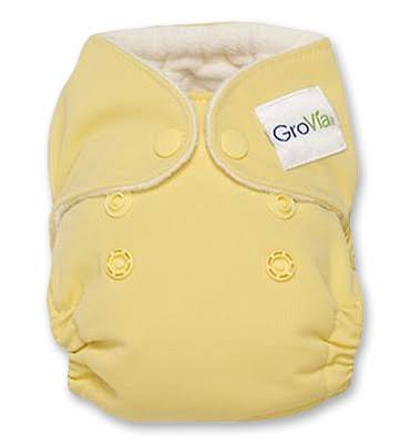 AIO Cloth Baby Diaper