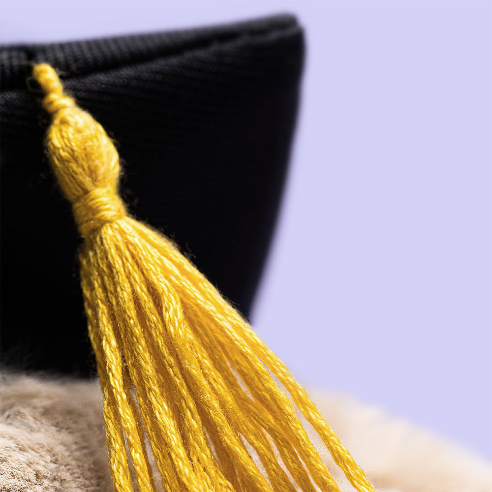 Jellycat Bashful Bunny Graduation Outfit close up graduation cap tassel detail plush bunny graduate toy keepsake gift