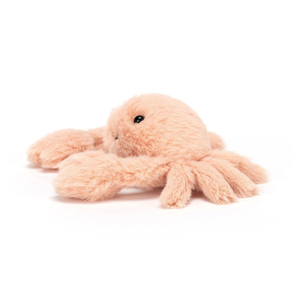 Fluffy Crab
