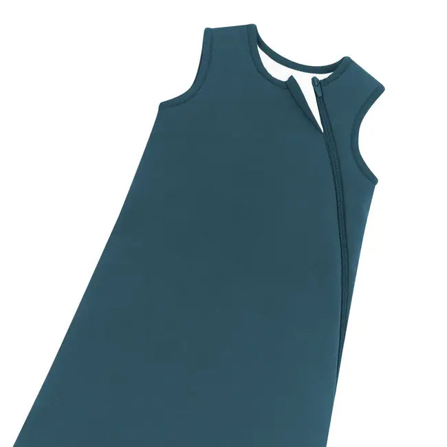 Kyte Baby Sleep Bag in Atlantic 2.5 TOG, angle 3